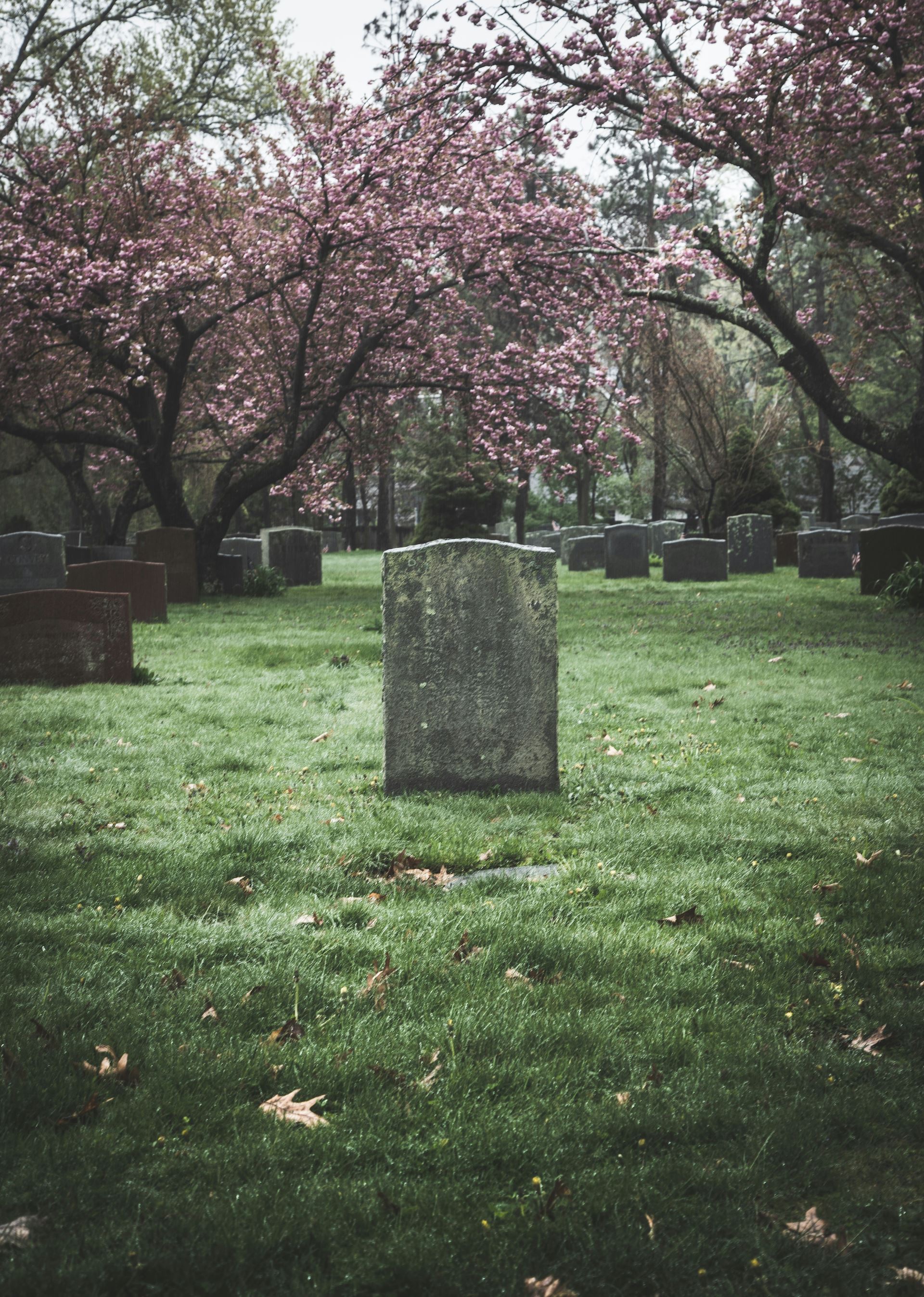 tombstone in graveyard